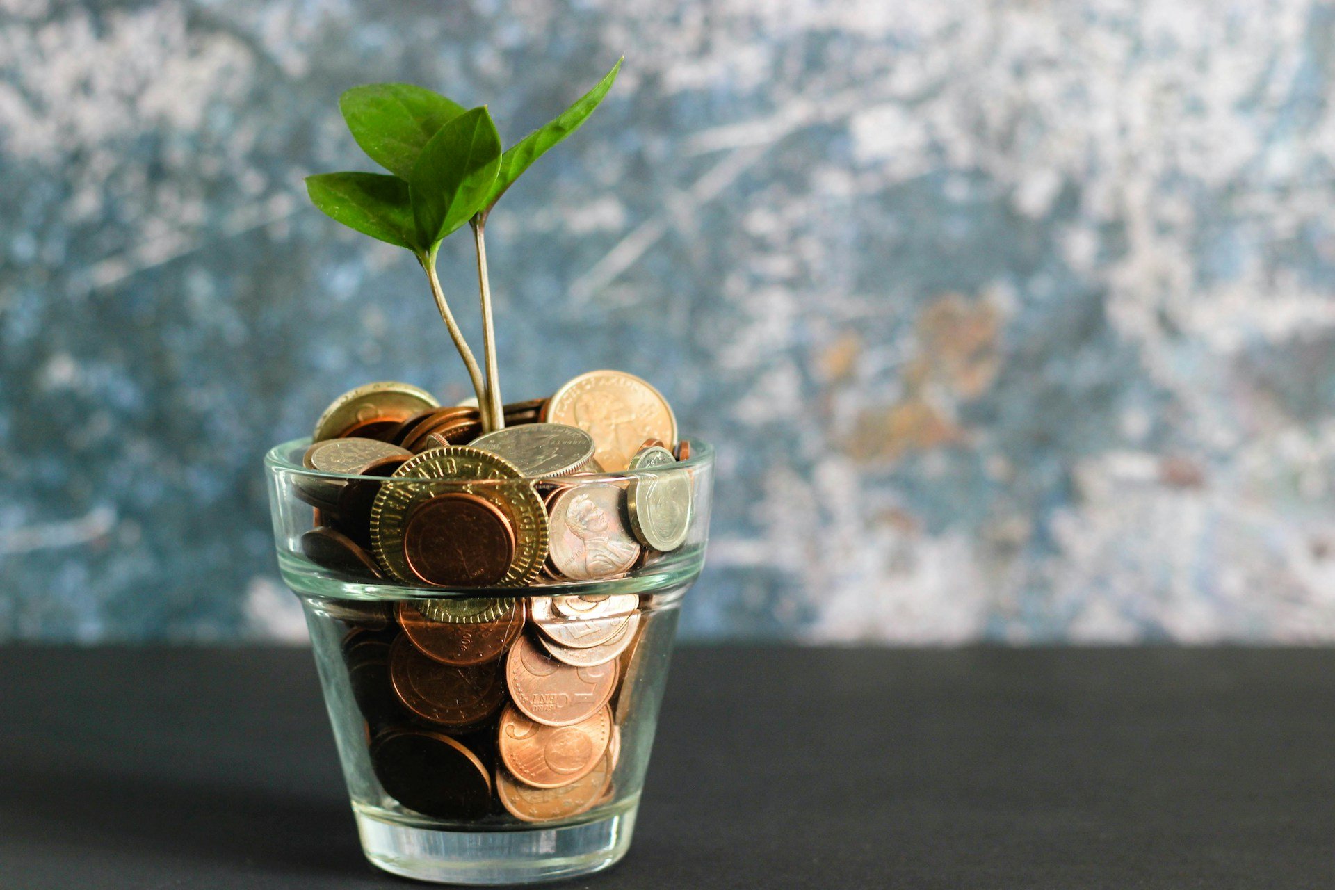 Plante qui pousse dans un verre de pièces — épargne et croissance